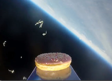 Пончик летит в космос
