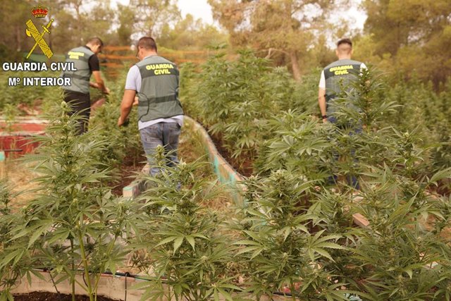Испании купить марихуану 120 кг марихуаны