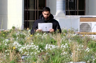 В Барселоне тестируют 12 типов зелёных крыш