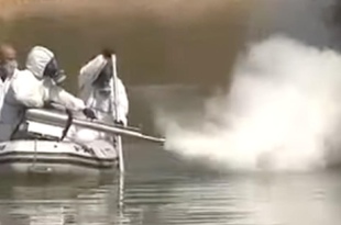 В Севилье начали фумигацию из‑за риска вируса Западного Нила