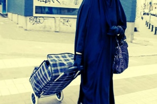 В муниципальные здания Севильи запретят входить в барке и никабе